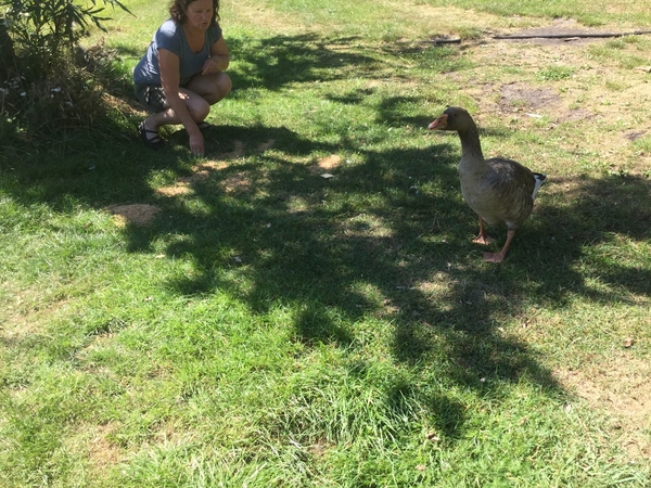 Catherine from Waitangi, New Zealand