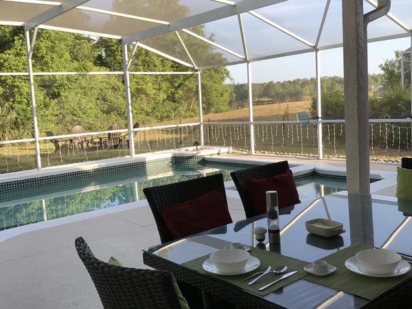Housesitting assignment in Orlando, Florida, United States
