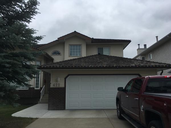 Housesitting assignment in Edmonton, Alberta, Canada