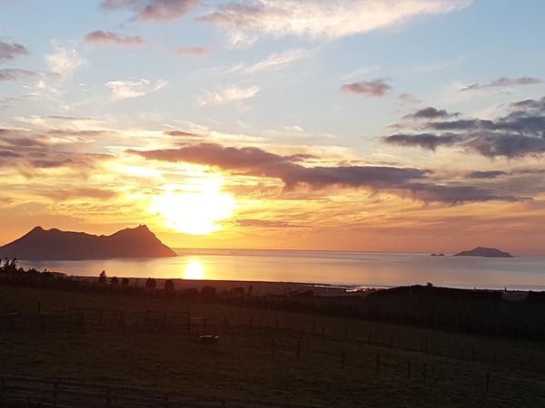 Housesitting assignment in Waipu, New Zealand