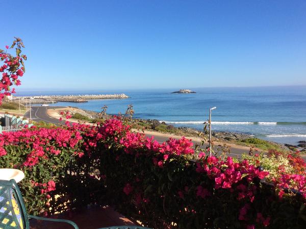 Housesitting assignment in Yzerfontein, South Africa