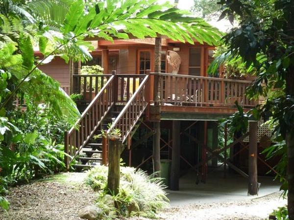 Housesitting assignment in Kuranda, Queensland, Australia