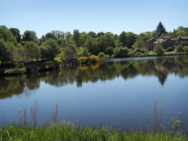Housesitting assignment in Balledent, France