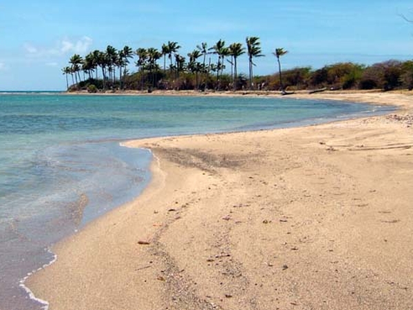 Housesitting assignment in Barnes Hill, Antigua and Barbuda