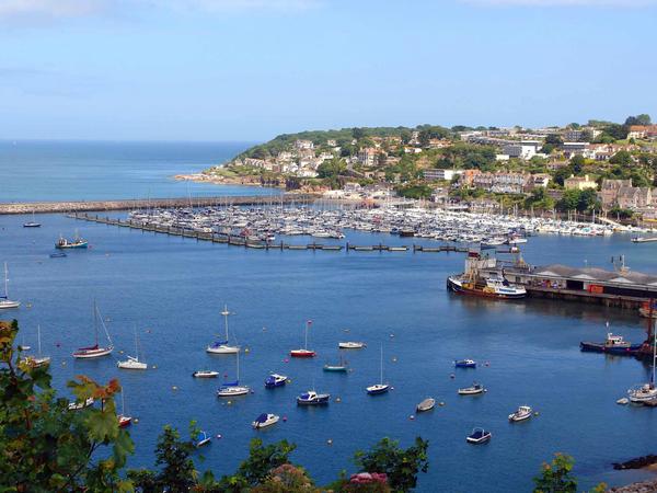 Housesitting assignment in Brixham, United Kingdom