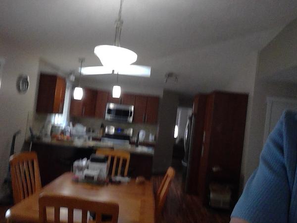 Housesitting assignment in Saanichton, British Columbia, Canada
