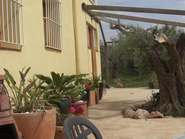 Housesitting assignment in L'Aldea, Spain