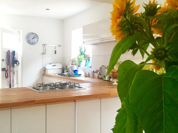 Housesitting assignment in Lewes, United Kingdom