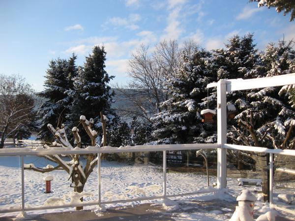 Housesitting assignment in Vernon, British Columbia, Canada