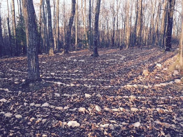 Housesitting assignment in Floyd, VA, United States