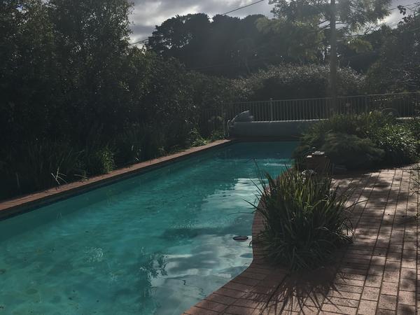 Housesitting assignment in Donvale, Victoria, Australia
