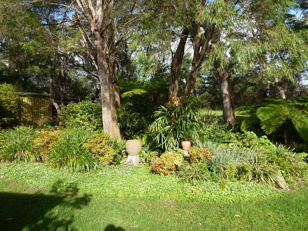 Housesitting assignment in Albany, Western Australia, Australia