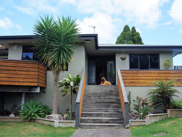 Housesitting assignment in Tauranga, New Zealand