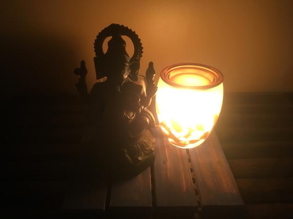 Housesitting assignment in Ottawa, Ontario, Canada
