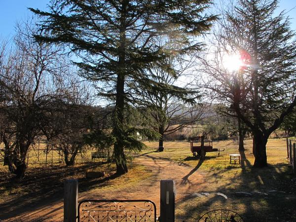 Housesitting assignment in Coonabarabran, New South Wales, Australia