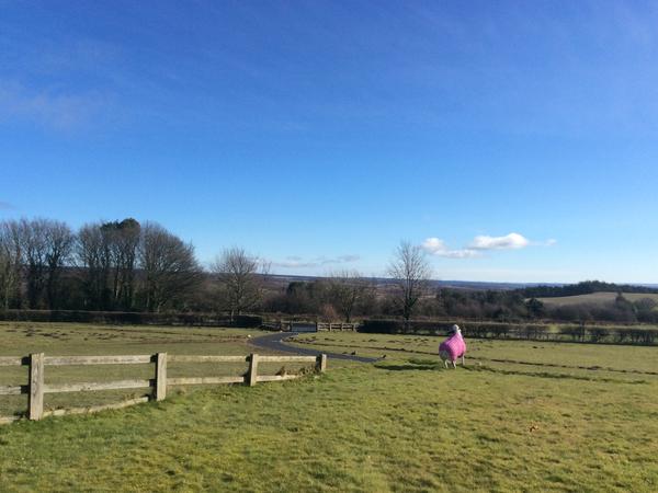 Housesitting assignment in Kirkbymoorside, United Kingdom