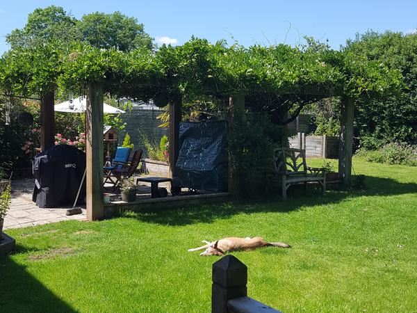 Housesitting assignment in Tiverton, United Kingdom