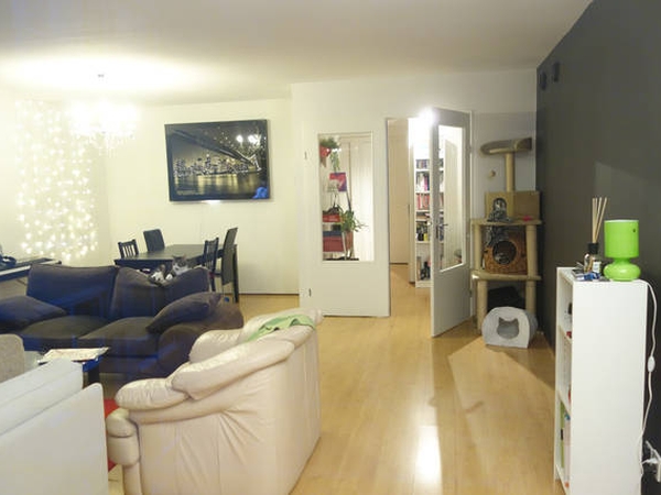 Housesitting assignment in Amsterdam, Netherlands