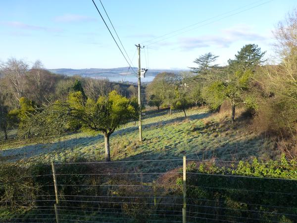 Housesitting assignment in Fownhope, United Kingdom