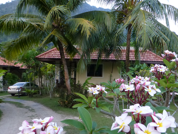 Housesitting assignment in Patong, Thailand