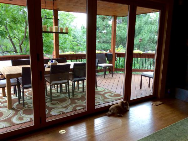 Housesitting assignment in Denver, Colorado, United States