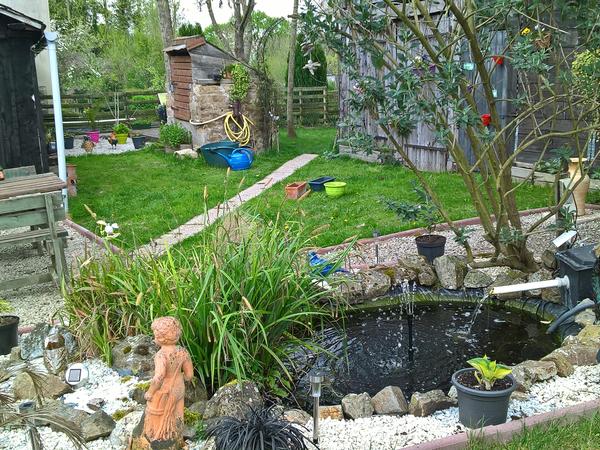 Housesitting assignment in Dolo, France