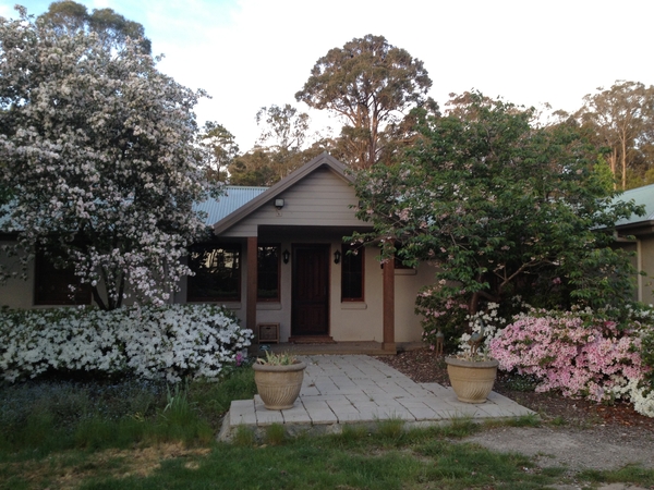 Housesitting assignment in Berrima, New South Wales, Australia