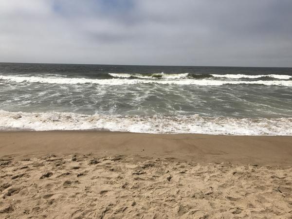 Housesitting assignment in Santa Maria, California, United States