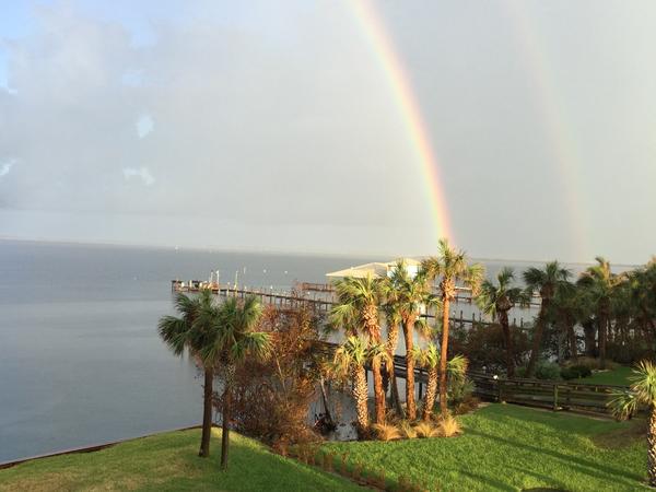 Housesitting assignment in Cocoa Beach, Florida, United States