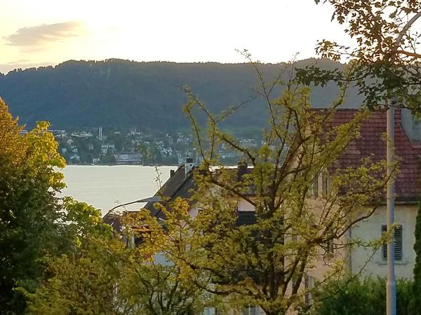 Housesitting assignment in Zürich (Kreis 8) / Weinegg, Switzerland