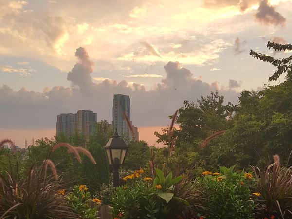 Housesitting assignment in Etobicoke, Ontario, Canada
