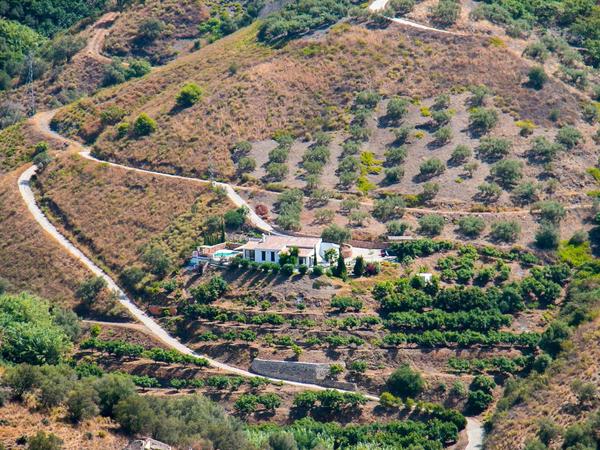 Housesitting assignment in Frigiliana, Spain