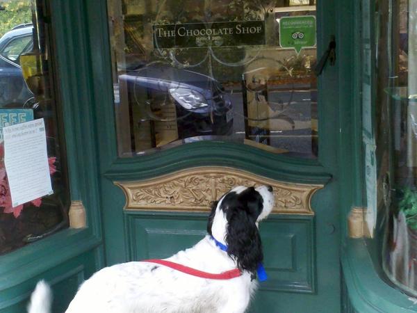 Housesitting assignment in Matlock, United Kingdom