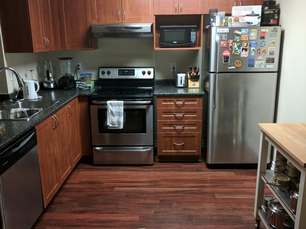 Housesitting assignment in Kingston, Ontario, Canada