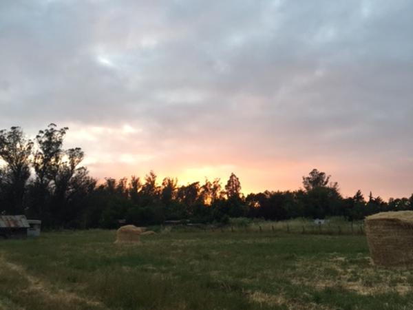 Housesitting assignment in Cotati, California, United States