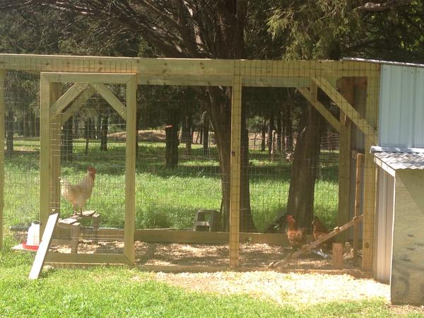 Housesitting assignment in Bastrop, TX, United States