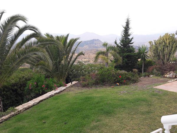 Housesitting assignment in Mijas, Spain