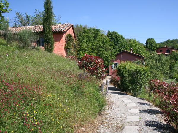 Housesitting assignment in Molazzana, Italy
