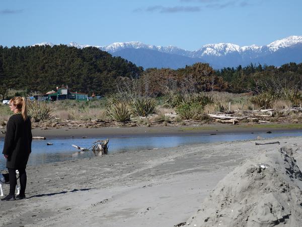 Housesitting assignment in Te Horo, New Zealand
