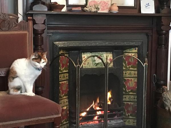 Housesitting assignment in Brunswick, VIC, Australia