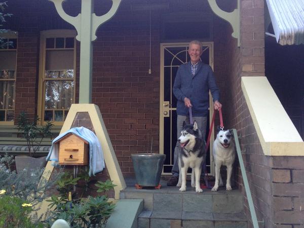 Housesitting assignment in Paramatta, NSW, Australia