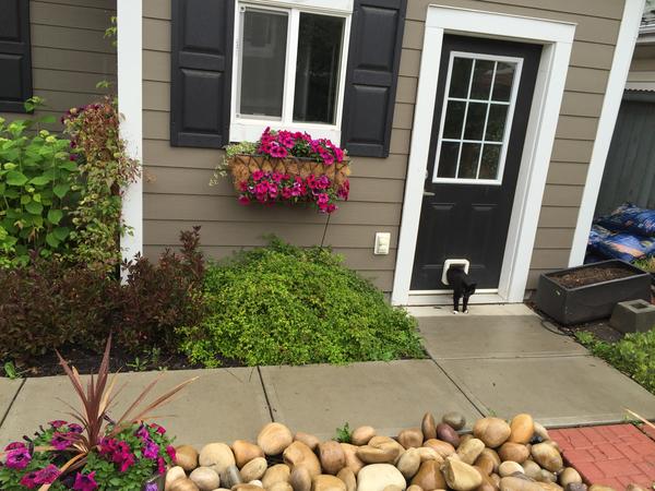Housesitting assignment in Edmonton, Alberta, Canada