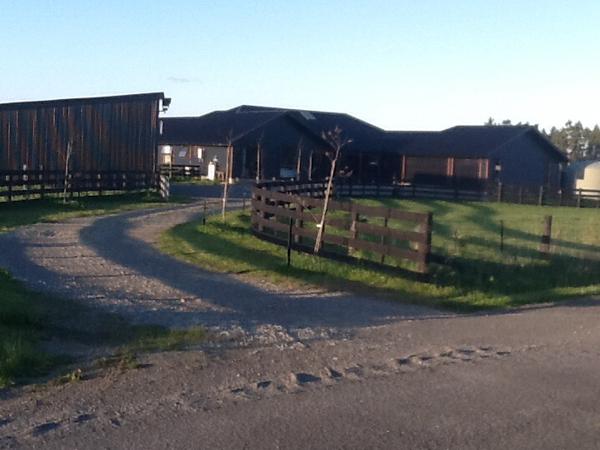 Housesitting assignment in Swannanoa, New Zealand