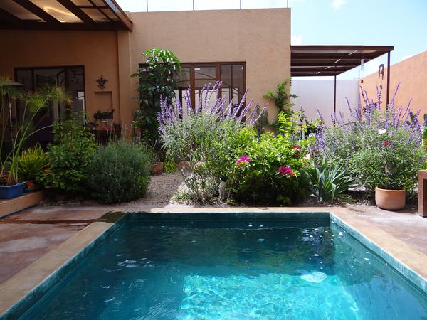 Housesitting assignment in San Miguel de Allende, Mexico