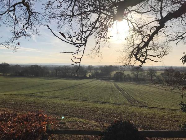 Housesitting assignment in Fleet, United Kingdom