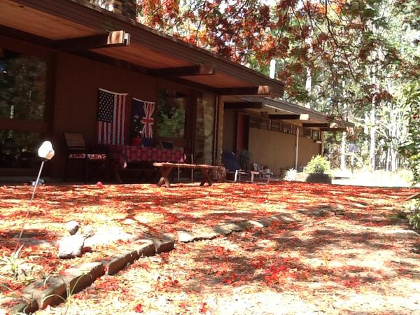Housesitting assignment in Gumdale, QLD, Australia