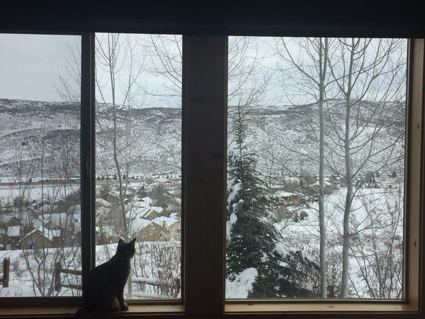 Housesitting assignment in Park City, Utah, United States
