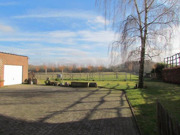 Housesitting assignment in Brussels, Belgium
