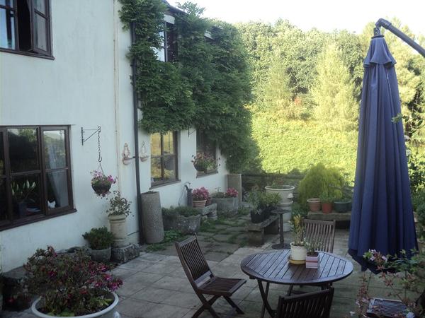 Housesitting assignment in Little Dean, United Kingdom