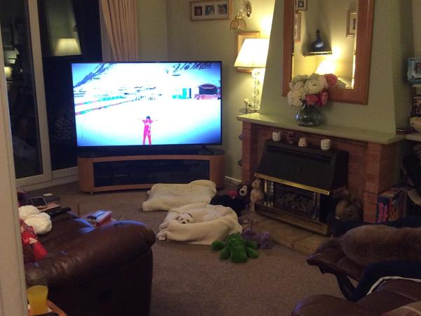 Housesitting assignment in Swindon, United Kingdom